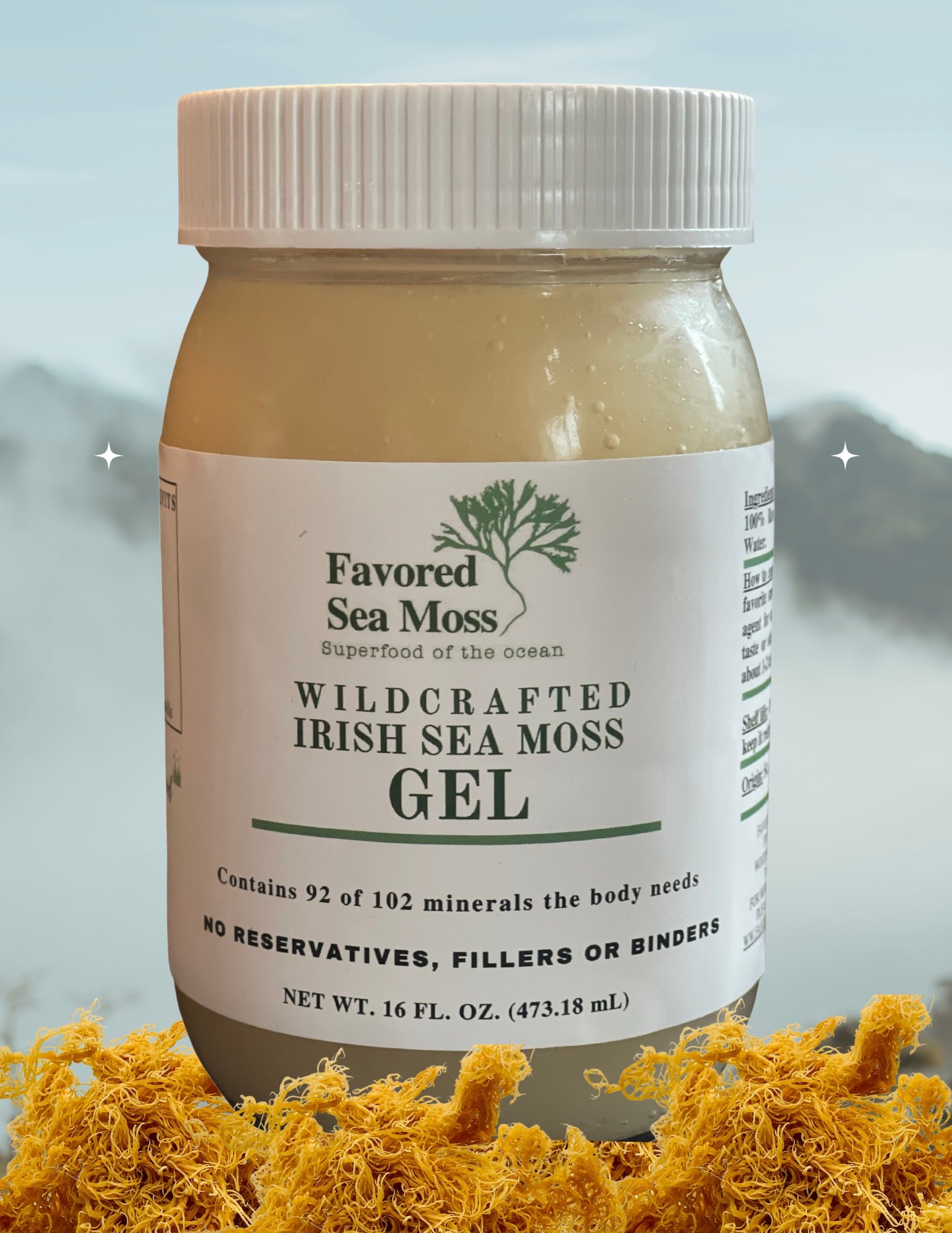 Sea Moss Gel – 16 oz – Favored Sea Moss